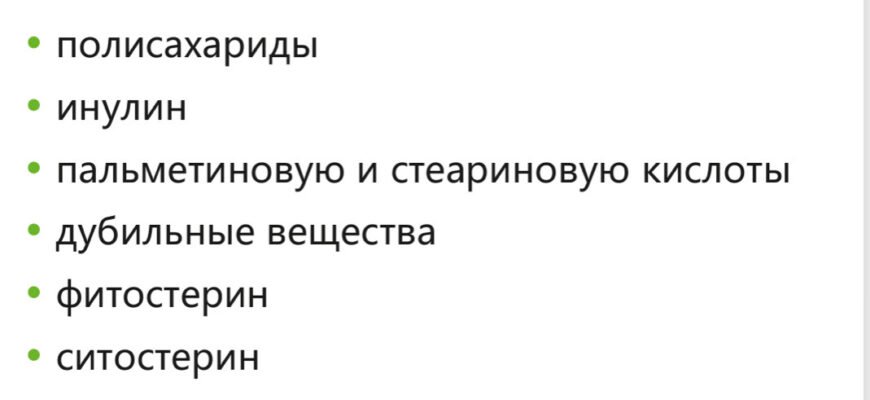 Як використовувати корінь лопуха: користь для здоров’я та краси