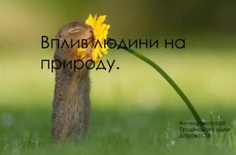 Зміни природи материка людиною: вплив та наслідки для екосистем