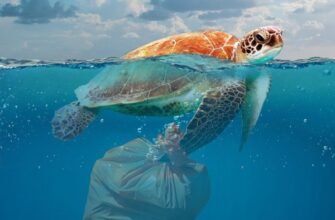 Штучний інтелект для океанів: нові рішення для збереження екосистем