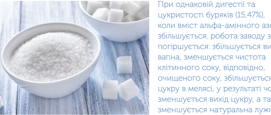 Яка категорія цукру краща: огляд і вибір оптимального варіанту