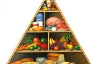 Відповідно харчової піраміди: які продукти повинні переважати у раціоні?