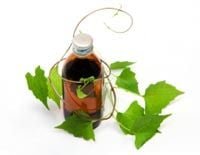 Що лікує: огляд методів і засобів для відновлення здоров’я