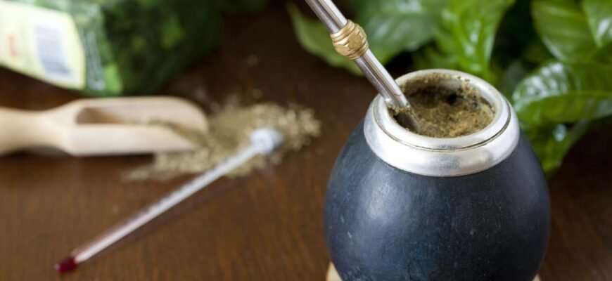 Чай мате: користь та шкода – досліджуємо вплив на здоров’я Чай мате: користь та шкода – досліджуємо вплив на здоров’я