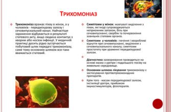 Контактно-побутовий шлях передачі інфекції: профілактика та поради