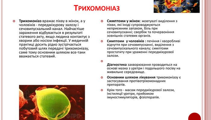 Контактно-побутовий шлях передачі інфекції: профілактика та поради