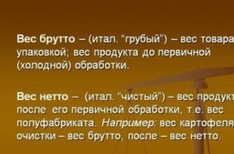 Що таке брутто: розкриваємо значення терміна в економіці та обліку
