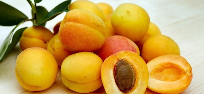 Чи корисний абрикос для печінки: користь абрикосів для здоров’я органу?