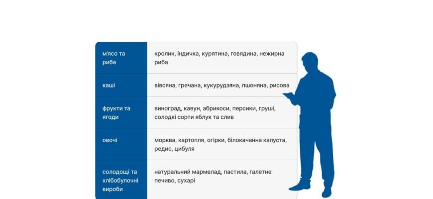 Як перевірити ацетон у дитини: покрокова інструкція для батьків Як перевірити ацетон у дитини: покрокова інструкція для батьків