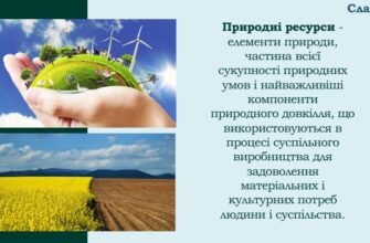 Що таке природні ресурси: визначення, види та їх значення