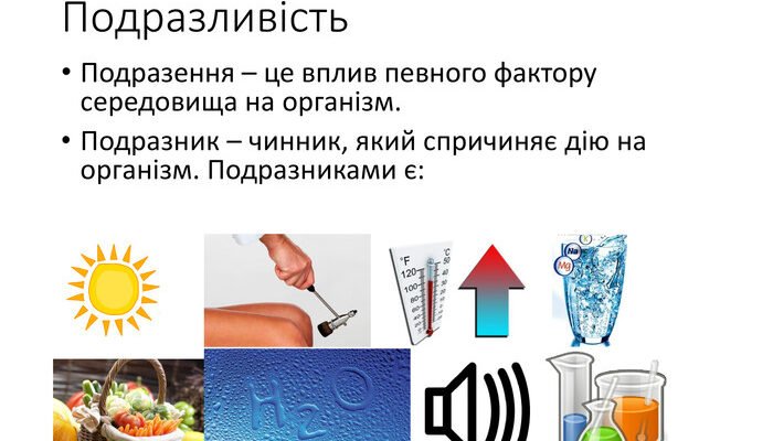 Що таке подразливість: визначення та основні характеристики