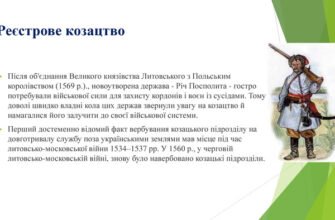 В якому році було створено реєстрове козацьке військо?