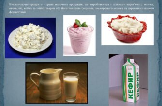 Які є кисломолочні продукти: список найпоширеніших