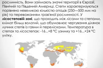 Різниця між степами Північної, Південної Америки та Євразії: аналіз