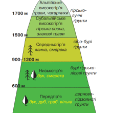 Які ґрунти поширені вздовж річок: аналіз основних типів ґрунтів
