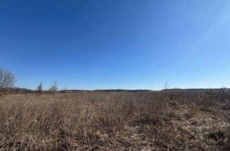 Чи можна подарувати земельний пай, якщо він в оренді: ключові аспекти