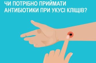 Антибіотики при укусі кліща: як вибрати і коли приймати?