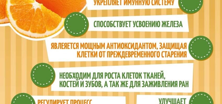 Цитрусові: користь та шкода для вашого організму – що важливо знати?