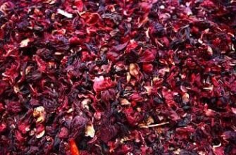 Чай каркаде: користь і шкода для жінок – важлива інформація