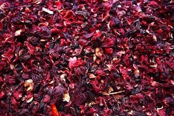 Чай каркаде: користь і шкода для жінок – важлива інформація Чай каркаде: користь і шкода для жінок – важлива інформація