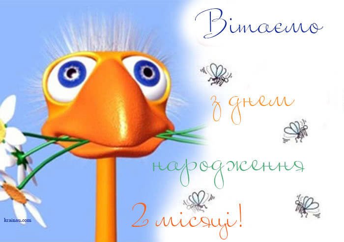Хлопчик 2 місяці