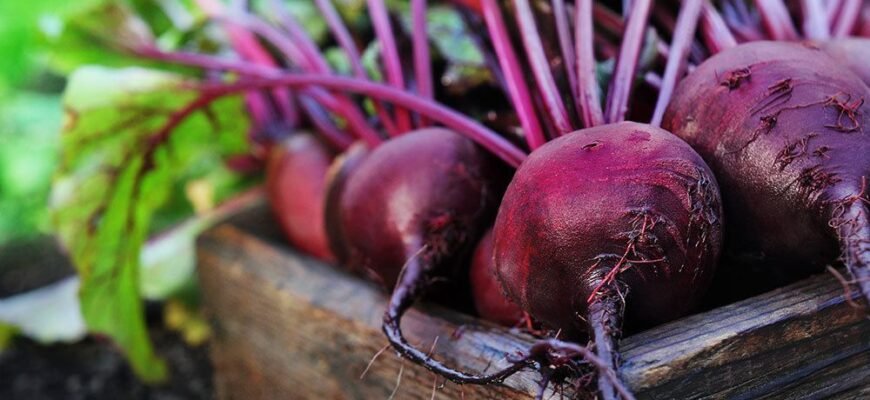 Які продукти виводять токсини з організму: детокс харчування