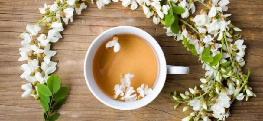 Чай из акации: польза и вред для здоровья, стоит ли употреблять?