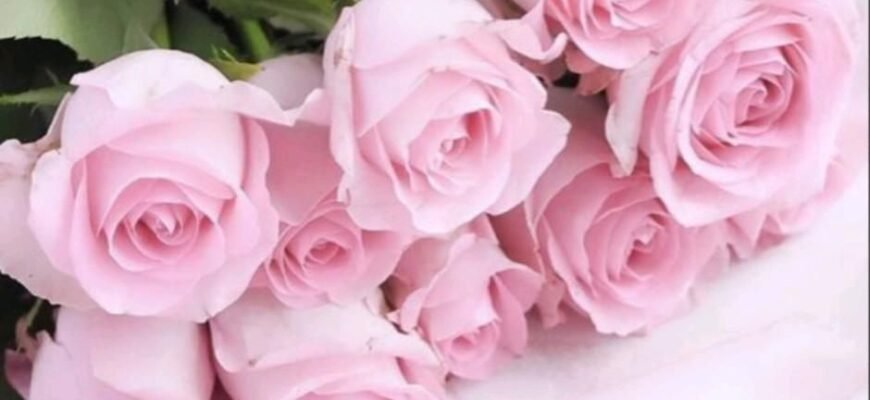 Картинки вітання з днем народження жінці: оберіть найкращі!