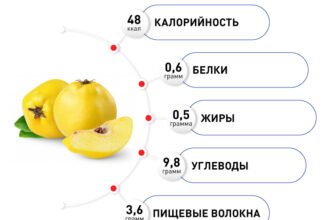 Айва: користь і шкода для здоров’я – що важливо знати?