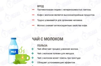 Чай з молоком: користь і шкода – що потрібно знати для здоров’я?