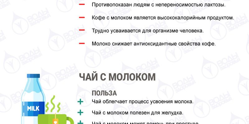 Чай з молоком: користь і шкода – що потрібно знати для здоров’я?