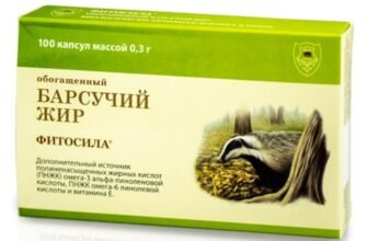 Барсучий жир в капсулах: користь і шкода для здоров’я?