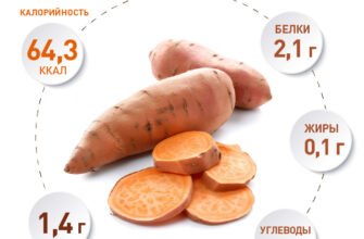 Яка користь і можливий шкода від вживання батата: детальний огляд