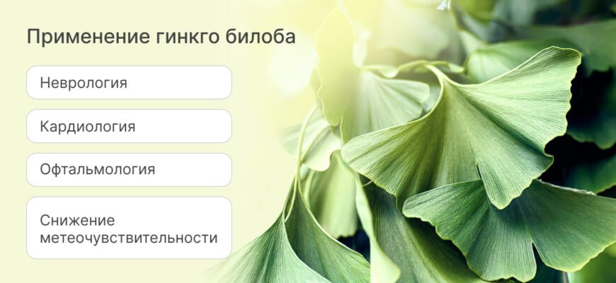 Чим корисна гінкго білоба для жінок? Основні переваги та властивості