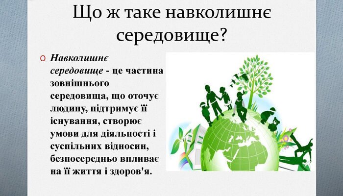 Що таке навколишнє середовище: визначення та його значення для нас