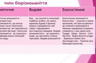 Що таке вид та видове різноманіття? Розуміння біорізноманіття