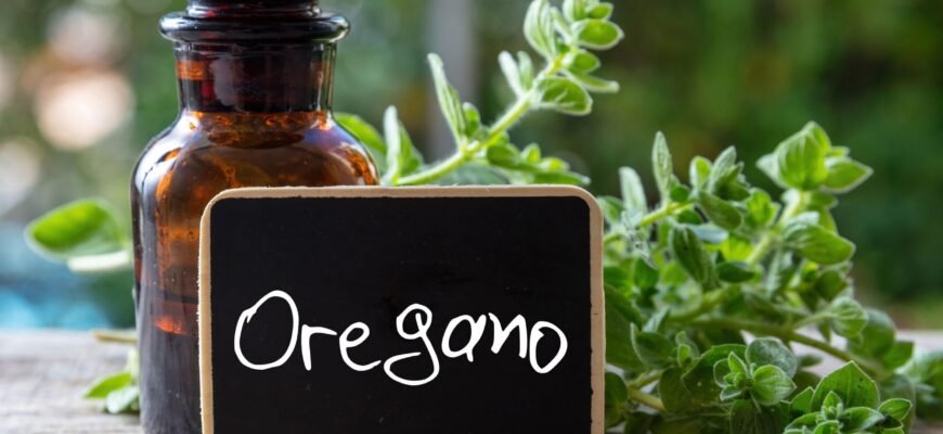 Яка користь від масла орегано? Властивості та застосування Яка користь від масла орегано? Властивості та застосування