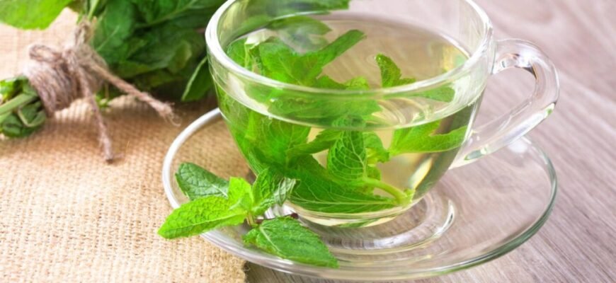 Чай з мелісою користь: які переваги для здоров’я та самопочуття?