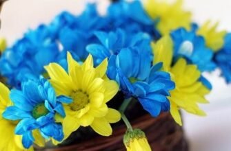 Вітаємо з призначенням на посаду: поради для успішного старту кар’єри