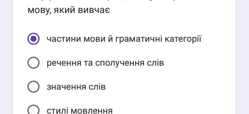 Розділ науки про мову: вивчення слів як частин мови для Google SEO