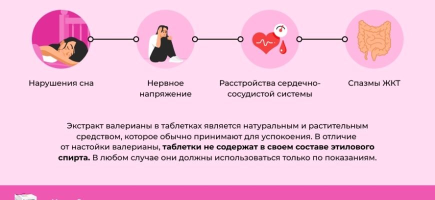 Переваги та ризики настойки валеріани: користь і шкода препарату