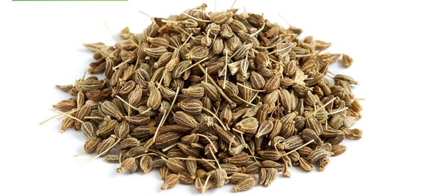 Що лікує аніс: основні захворювання, для яких він корисний