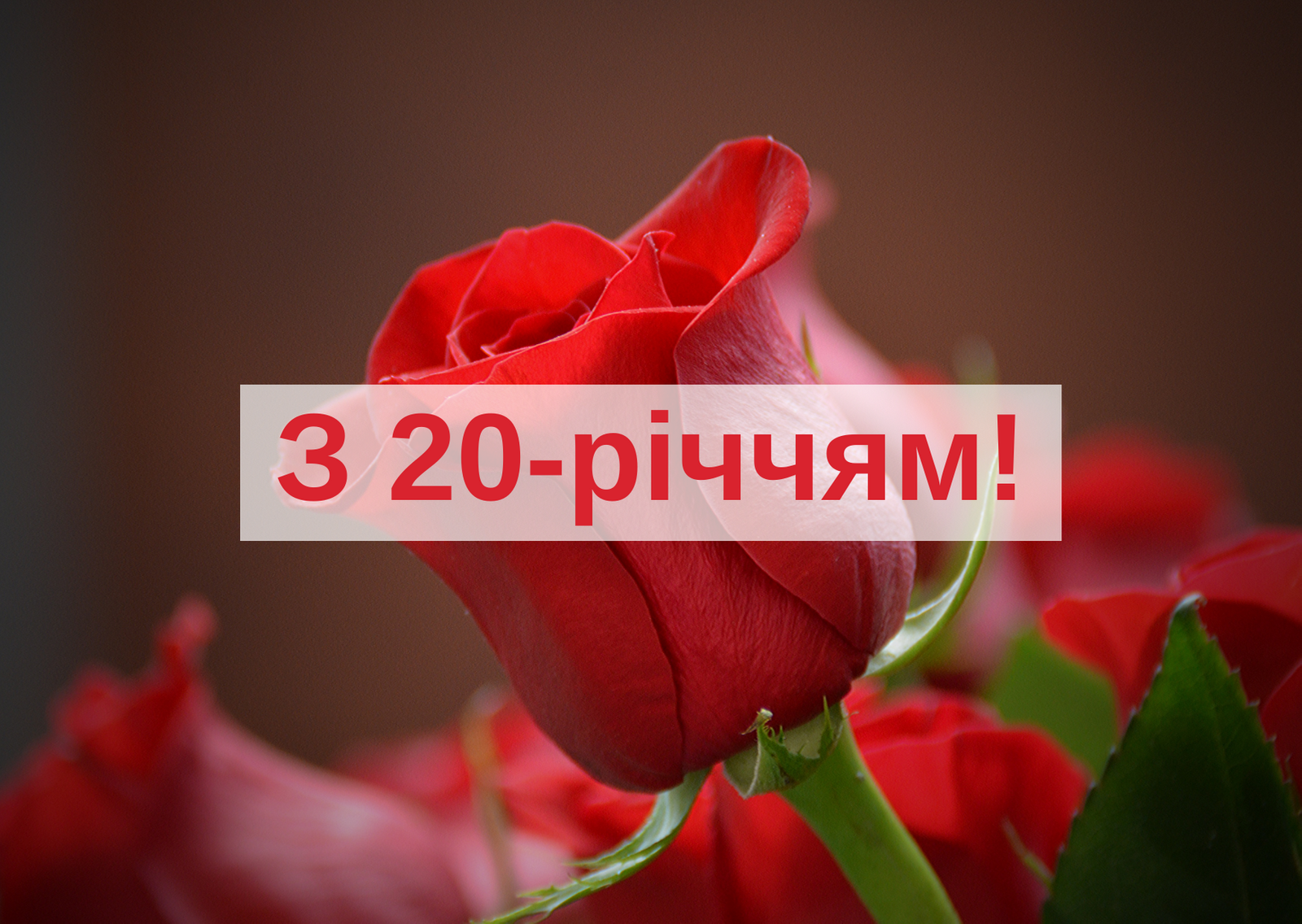 Квіткове фото