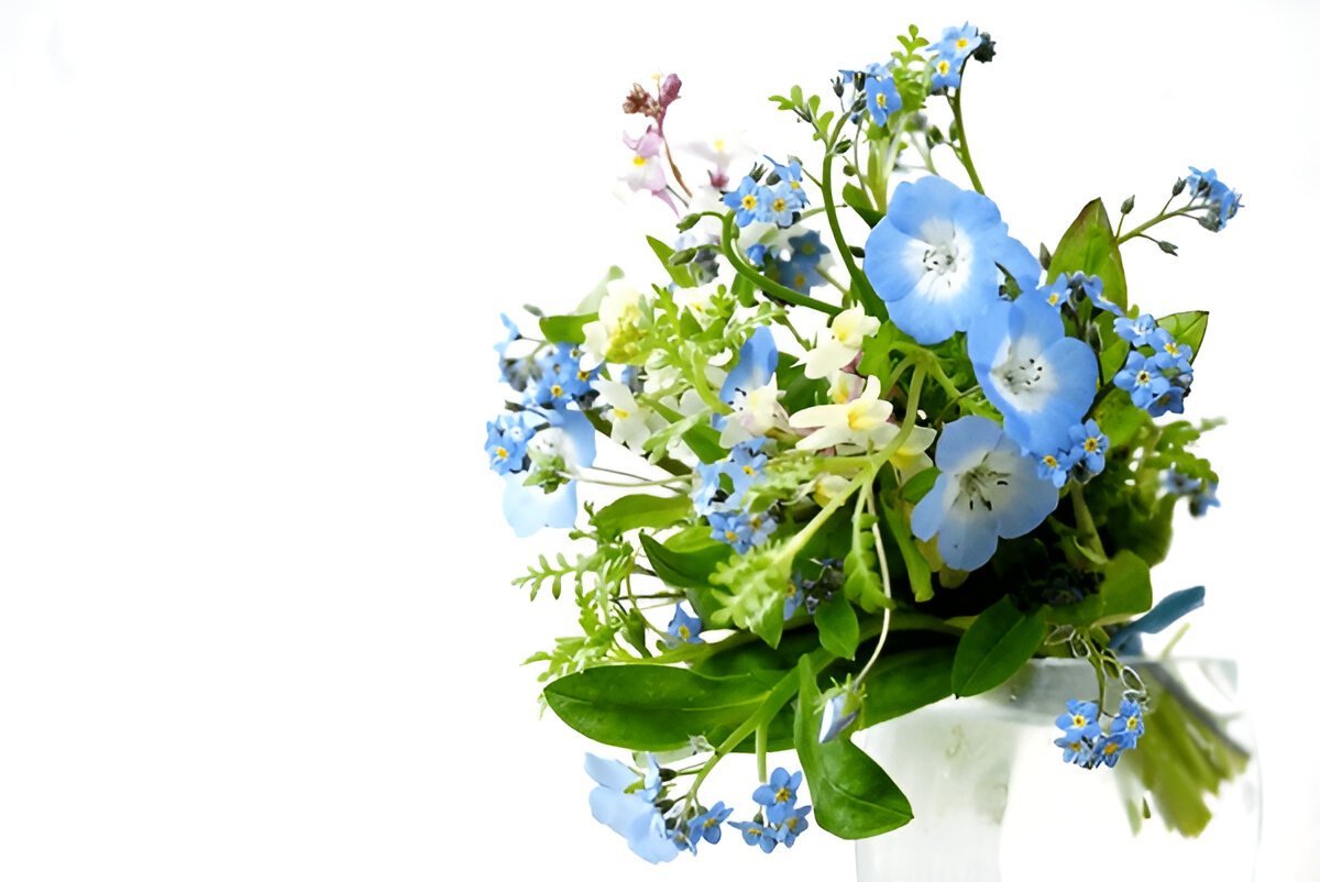 Гарна картинка з днем народження жінці