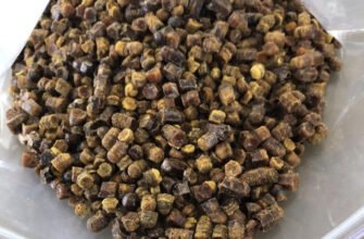 Що лікує перга: користь для здоров’я та її цілющі властивості Що лікує перга: користь для здоров’я та її цілющі властивості