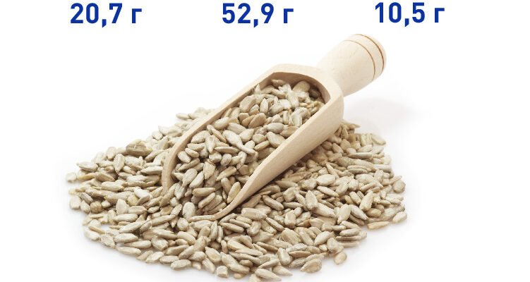 Як користь насіння соняшнику впливає на здоров’я та добробут?