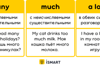 Чим відрізняються Much і Many? Пояснення різниці у вживанні