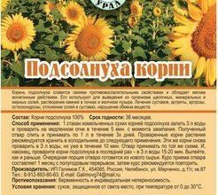 Чи корисні чи шкідливі корені підсолнуха? Вплив на здоров’я!