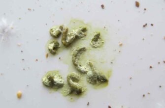 Білий кал у дитини: причини, діагностика та лікування