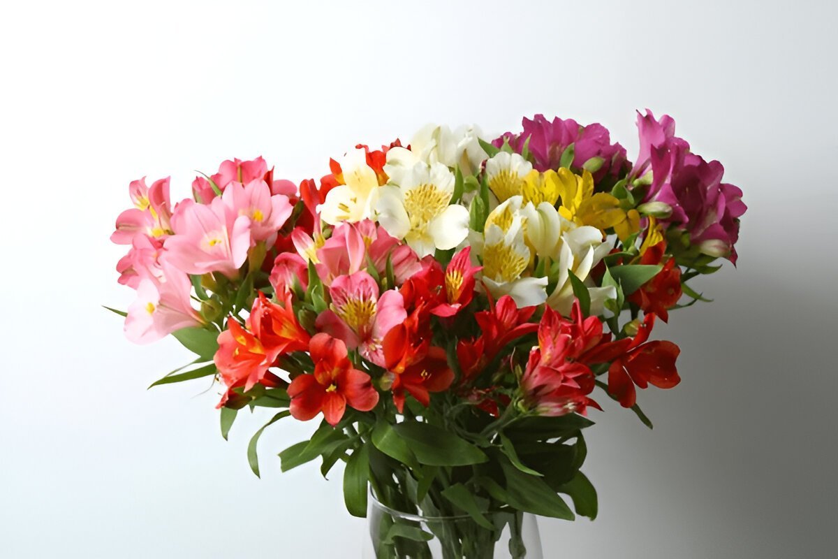 душевне привітання з днем народження