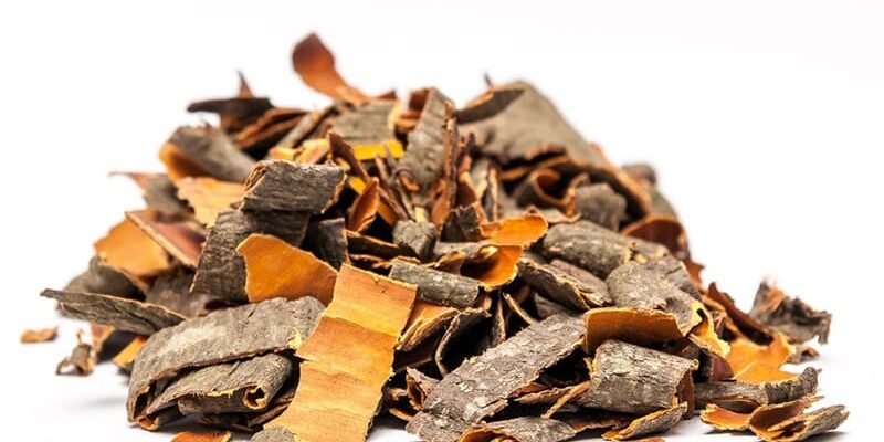 Кора осики: яка користь для здоров’я? Відповіді та поради Кора осики: яка користь для здоров’я? Відповіді та поради